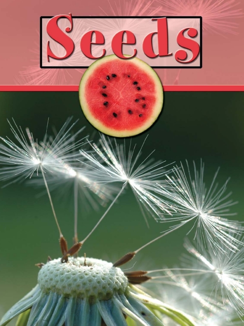 Cover image for book Seeds