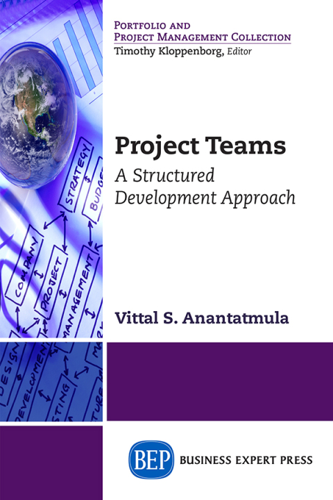 Cover image for book Project Teams