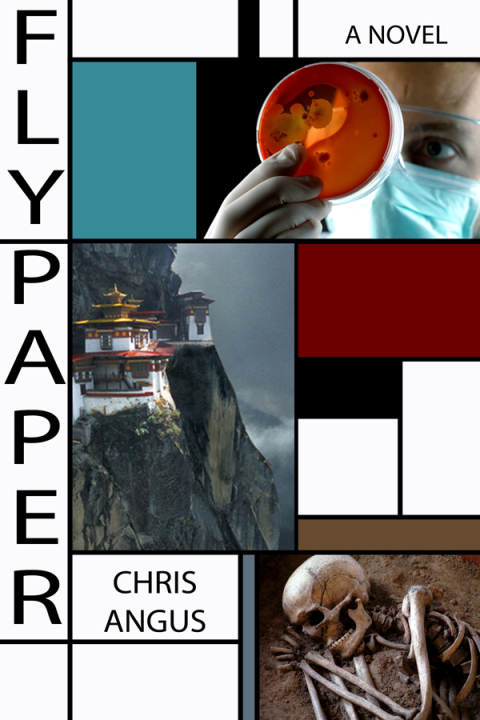 Cover image for book Flypaper