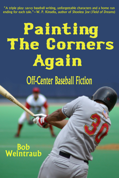 Cover image for book Painting the Corners Again