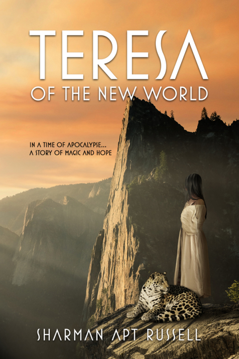Cover image for book Teresa of the New World