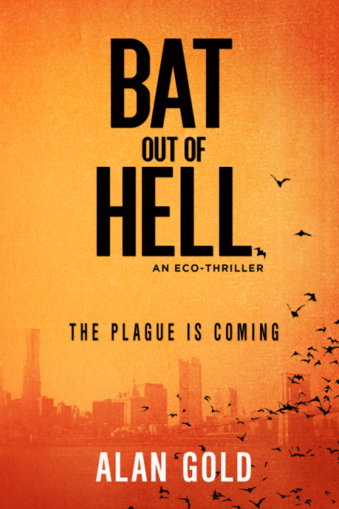 Cover image for book Bat out of Hell