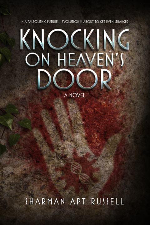 Cover image for book Knocking on Heaven's Door
