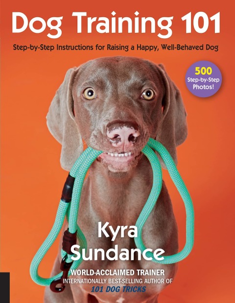 Cover image for book Dog Training 101