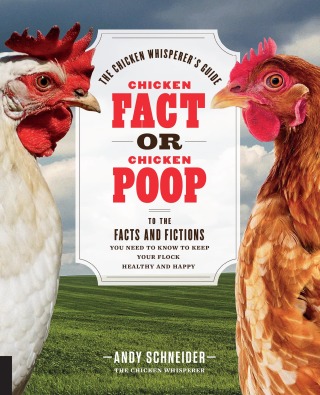Chicken Fact or Chicken Poop
