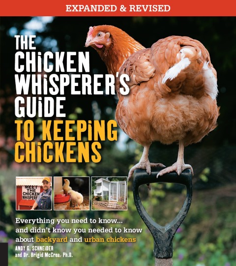 Cover image for book The Chicken Whisperer's Guide to Keeping Chickens, Revised