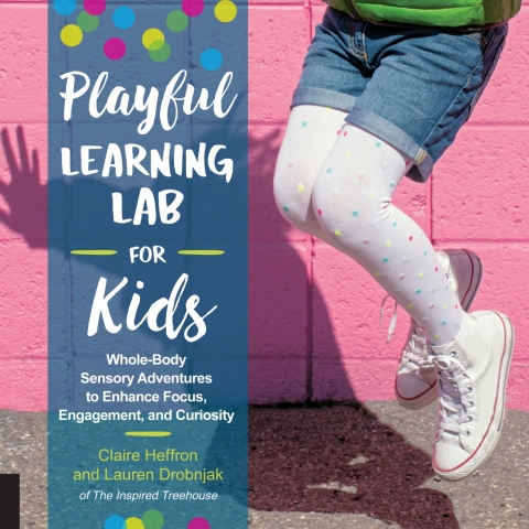 Cover image for book Playful Learning Lab for Kids