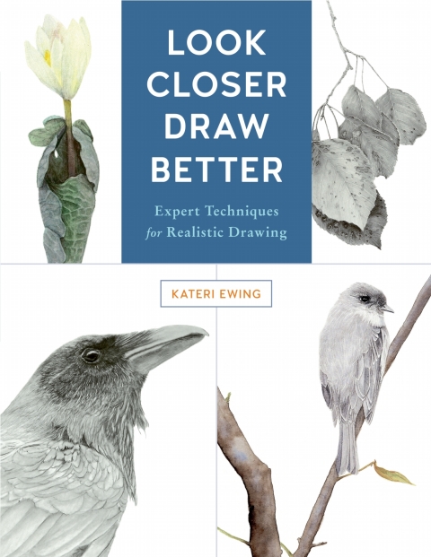 Cover image for book Look Closer, Draw Better