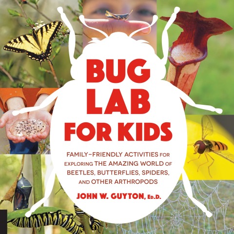 Cover image for book Bug Lab for Kids