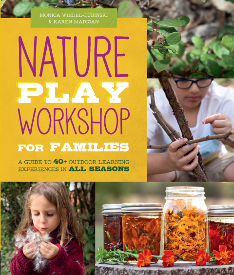 Cover image for book Nature Play Workshop for Families