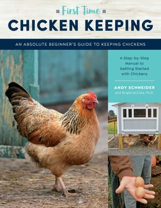 First Time Chicken Keeping