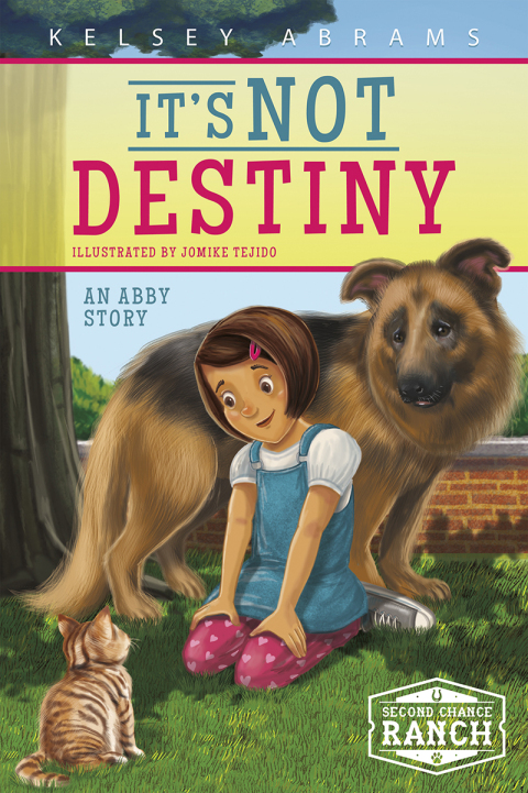 Cover image for book It's Not Destiny