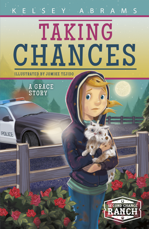 Cover image for book Taking Chances