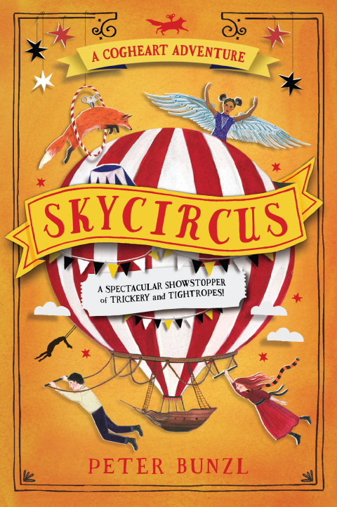 Cover image for book Skycircus