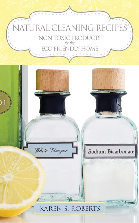 Cover image for book Natural Cleaning Recipes