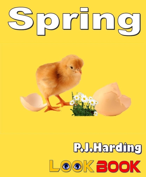 Cover image for book Spring