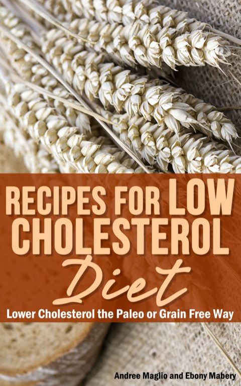 Cover image for book Recipes for Low Cholesterol Diet: Lower Cholesterol the Paleo or Grain Free Way