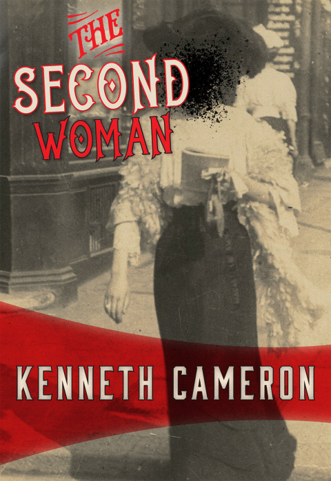 Cover image for book The Second Woman