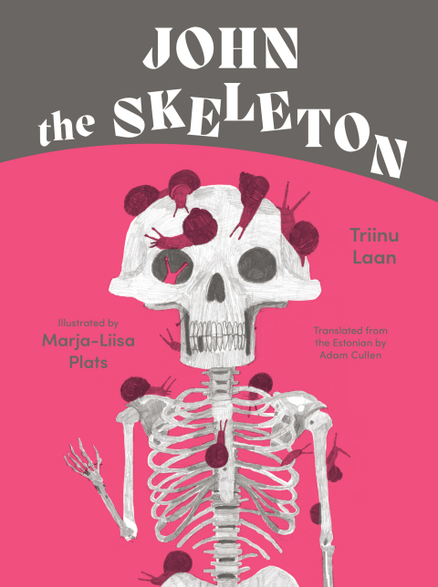 Cover image for book John the Skeleton