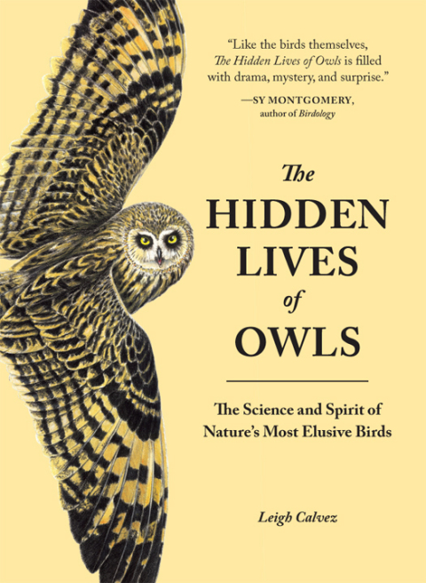 Cover image for book The Hidden Lives of Owls