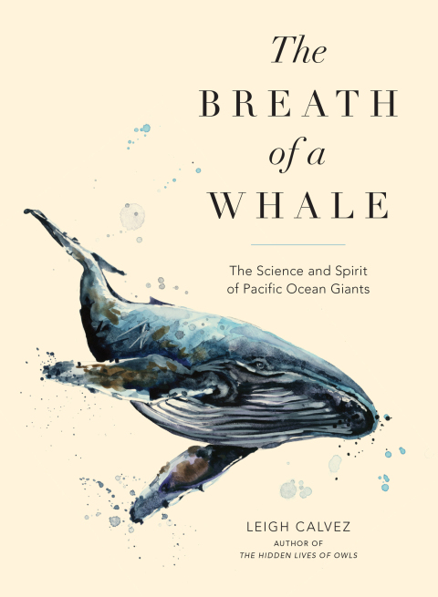 Cover image for book The Breath of a Whale