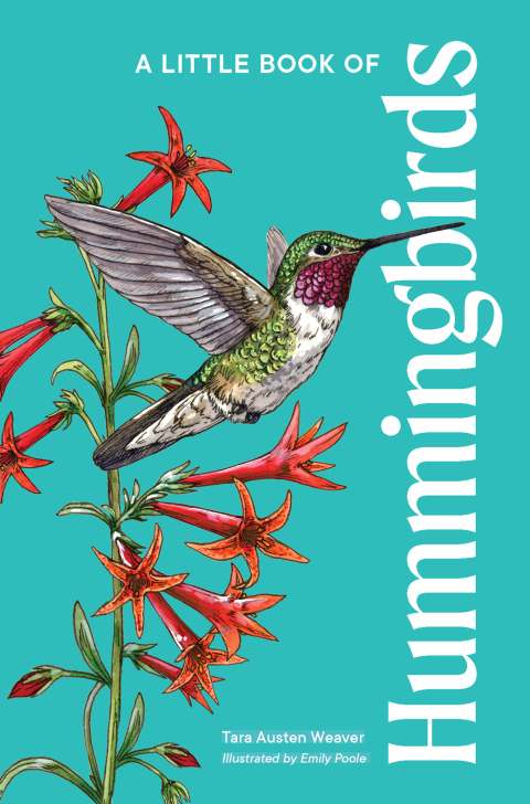 Cover image for book A Little Book of Hummingbirds