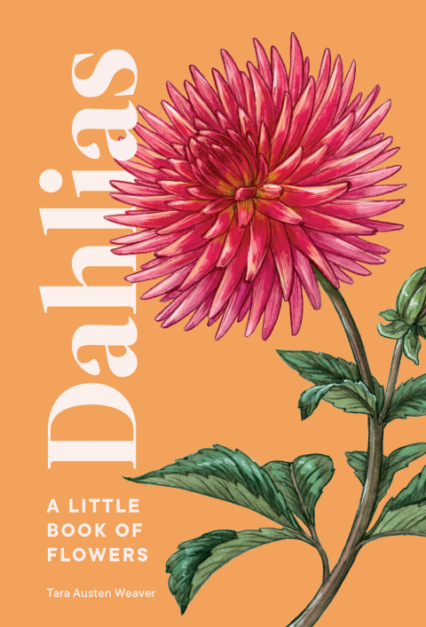 Cover image for book Dahlias