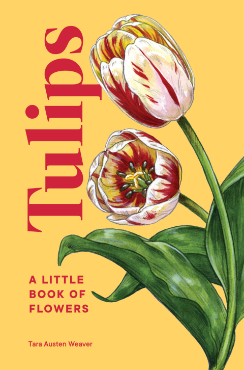 Cover image for book Tulips