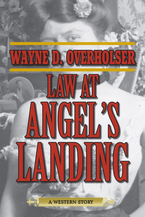 Cover image for book Law at Angel's Landing