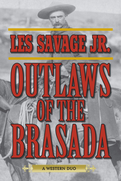 Cover image for book Outlaws of the Brasada