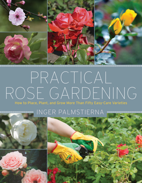 Cover image for book Practical Rose Gardening