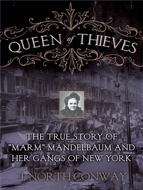 Cover image for book Queen of Thieves