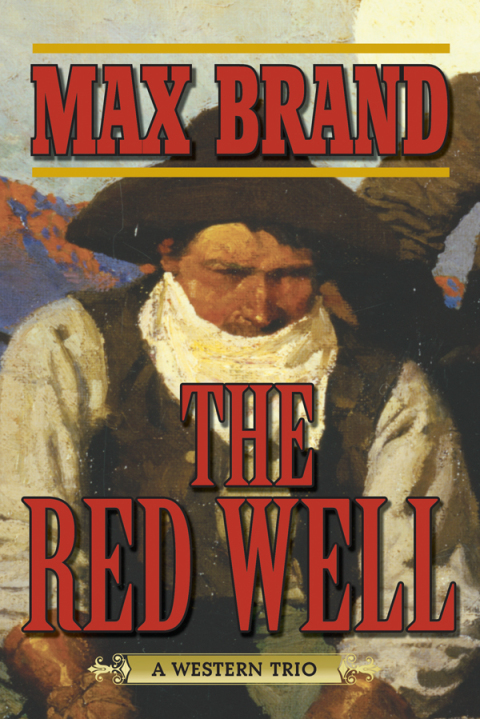 Cover image for book The Red Well