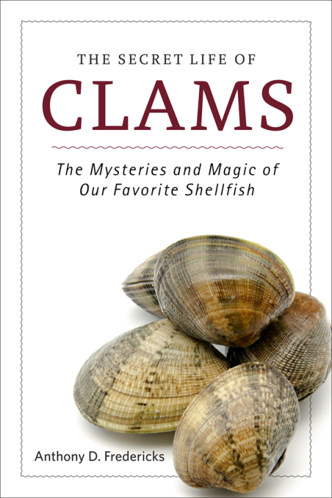 Cover image for book The Secret Life of Clams