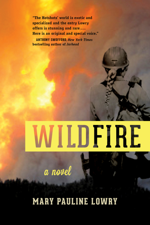 Cover image for book Wildfire