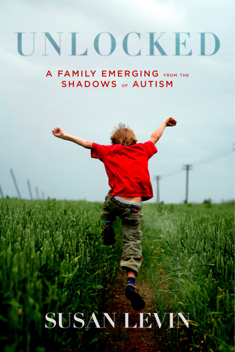 Cover image for book Unlocked