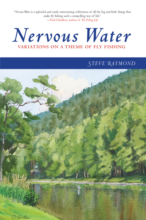 Cover image for book Nervous Water