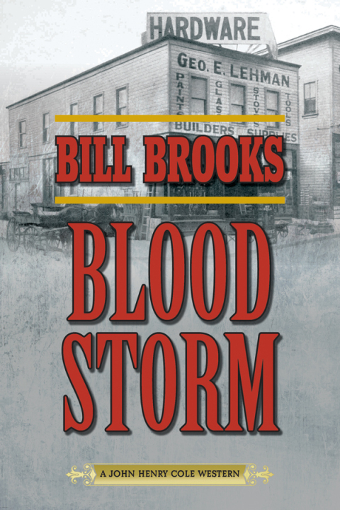 Cover image for book Blood Storm