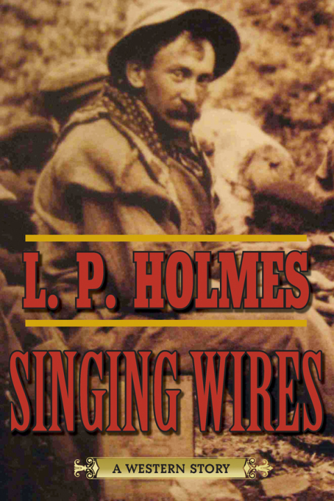 Cover image for book Singing Wires