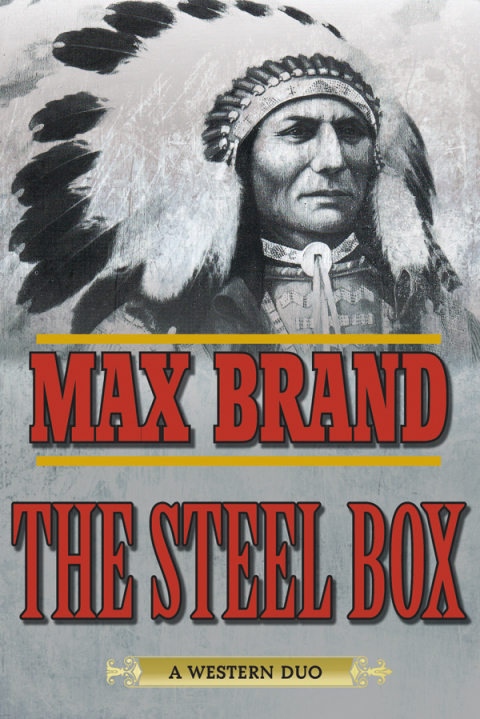 Cover image for book The Steel Box