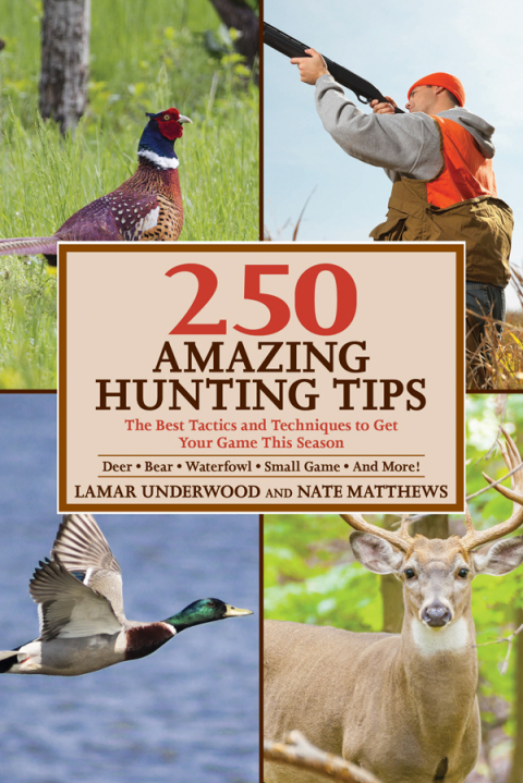 Cover image for book 250 Amazing Hunting Tips