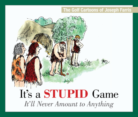 Cover image for book It's a Stupid Game; It'll Never Amount to Anything