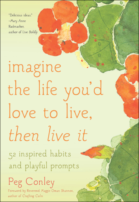 Cover image for book Imagine the Life You'd Love to Live, Then Live It