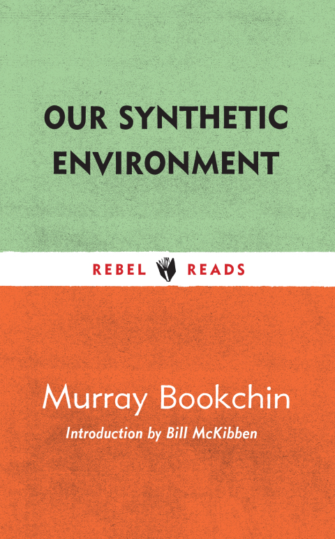 Cover image for book Our Synthetic Environment