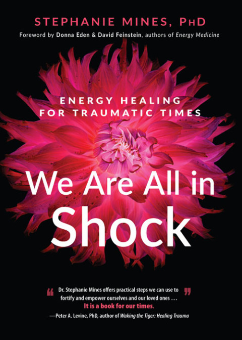 Cover image for book We Are All in Shock