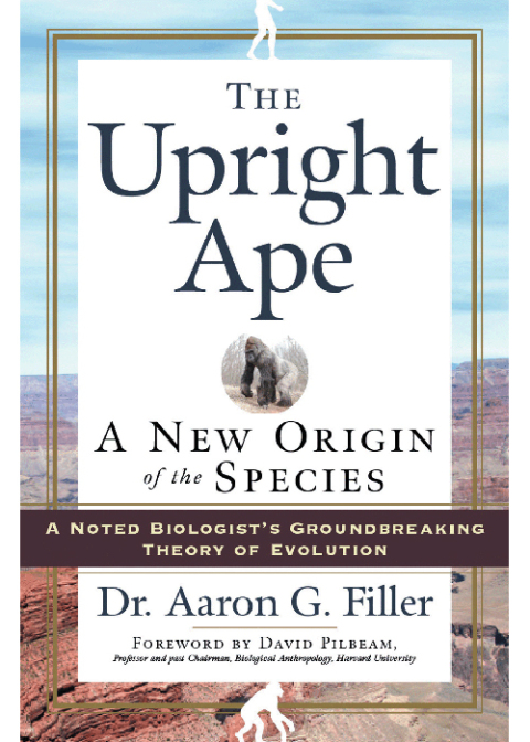 Cover image for book The Upright Ape
