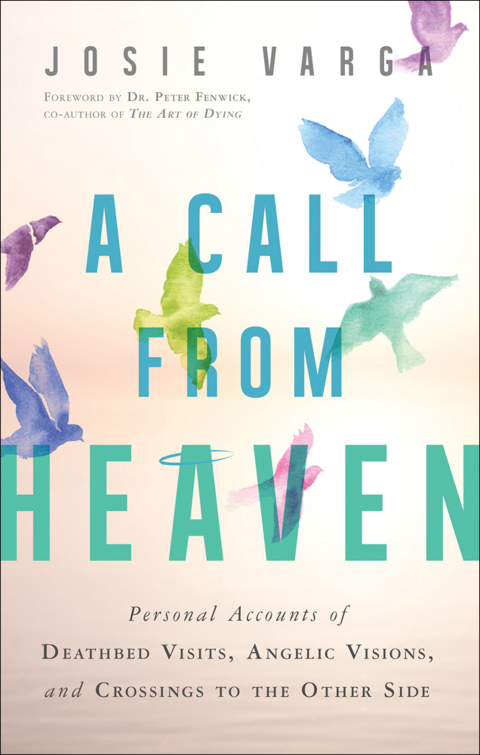 Cover image for book A Call From Heaven
