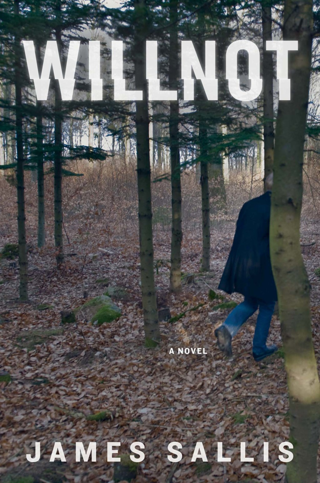 Willnot (eBook) - James Sallis