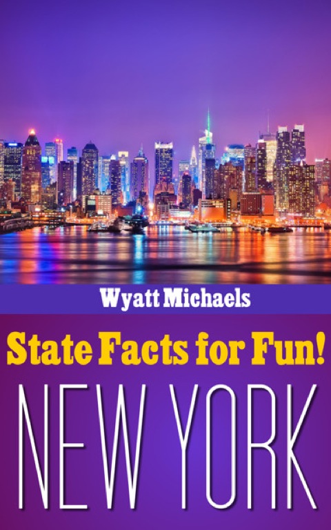 Cover image for book State Facts for Fun! New York