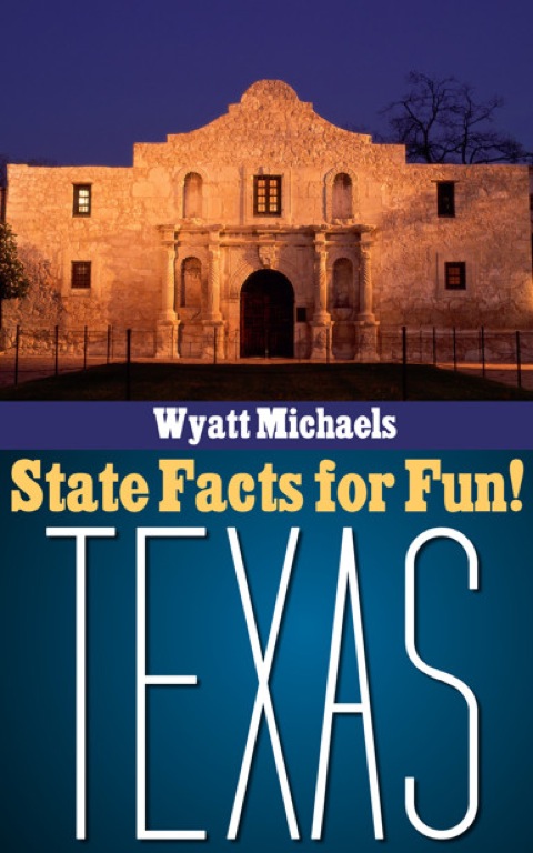 Cover image for book State Facts for Fun! Texas